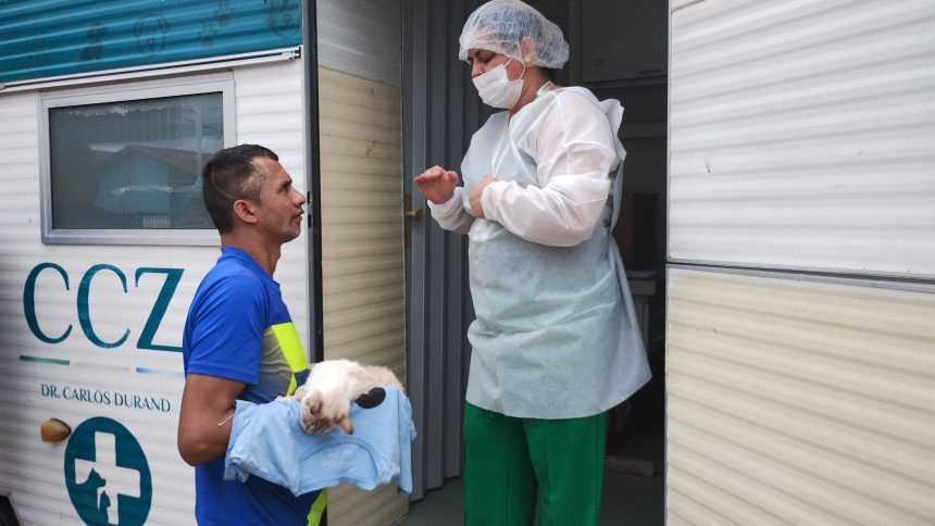 Marco 28 CCZ Agendamento Castracao1 a