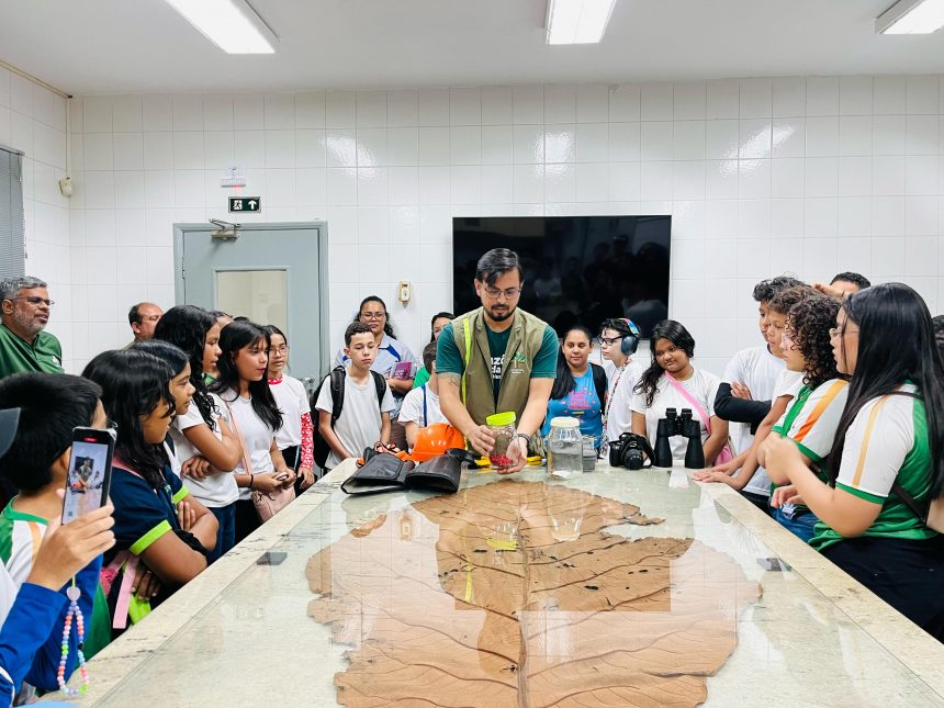 Academia Ambiental 1