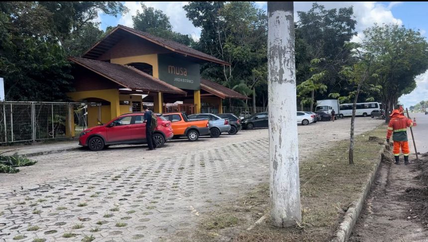 Limpeza 2