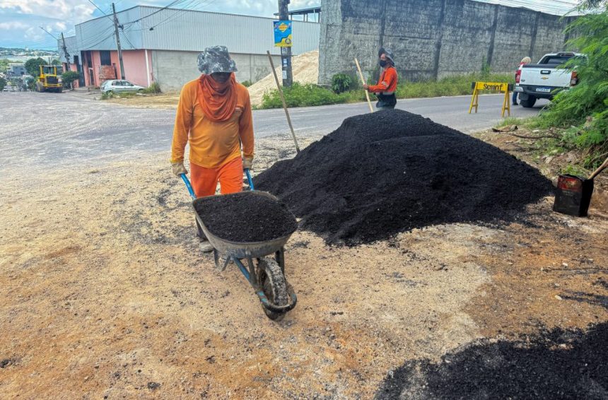 recuperacao asfaltica no Parque das Garcas 1 1024x674 1