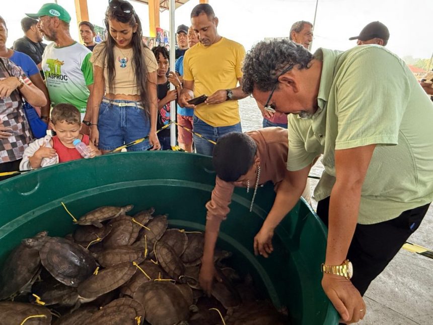 Foto 05 Primeira feira de quelonios de manejo comunitario ocorre em Carauari Foto Jamile Alves Sema Amazonas 1024x768 1