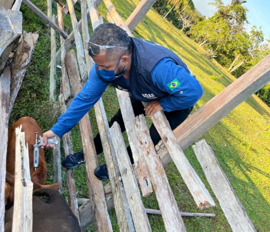 FOTO 1 ADAF PRORROGA VACINACAO CONTRA RAIVA DIVULGACAO ADAF 2