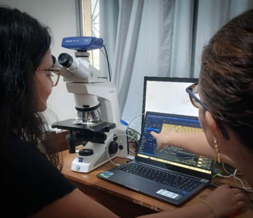 Fapeam Pesquisa identifica duzentas especies de microalgas em Parintins Foto arquivo da pesquisadora Angela Maria da Silva Lehmkuhl 1 1024x882 1