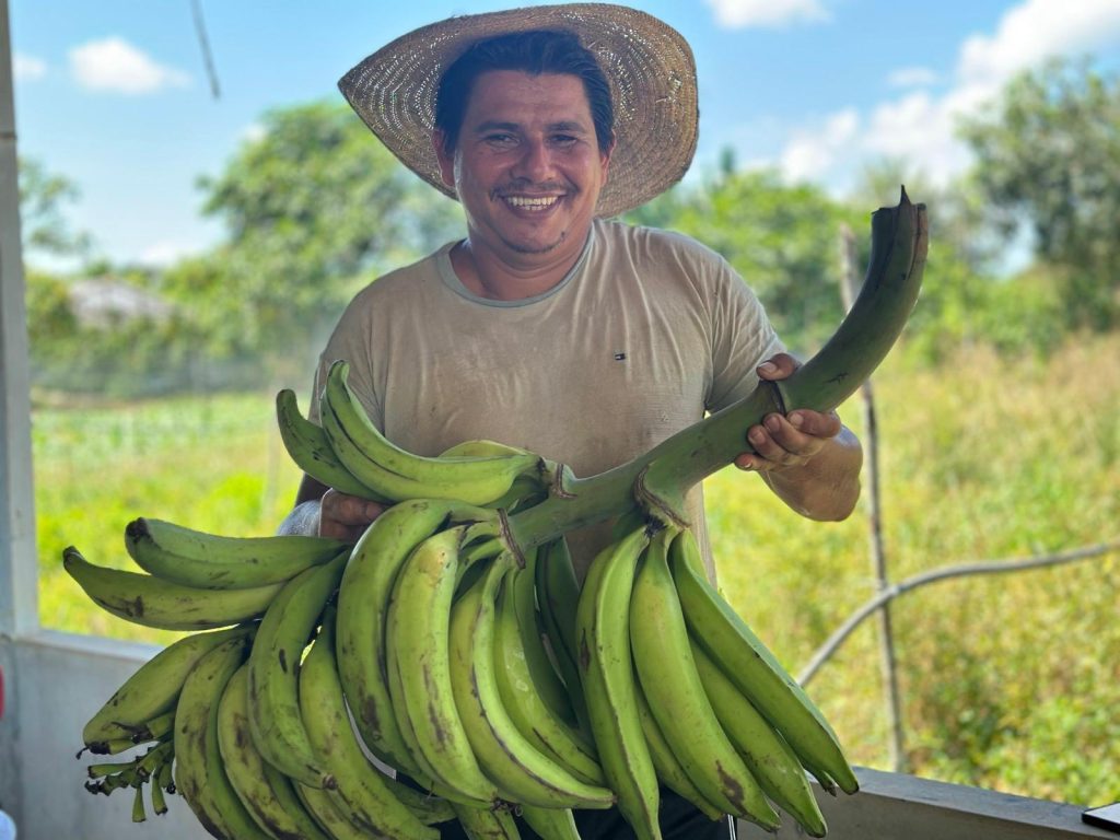 Via Preme: ADS destina mais de 147 toneladas de alimentos à rede estadual de ensino após recesso escolar Portal o Judiciário ADS Coleta e separacao de alimentos pelo Preme Foto Jhonny Marques 3 1024x768 1