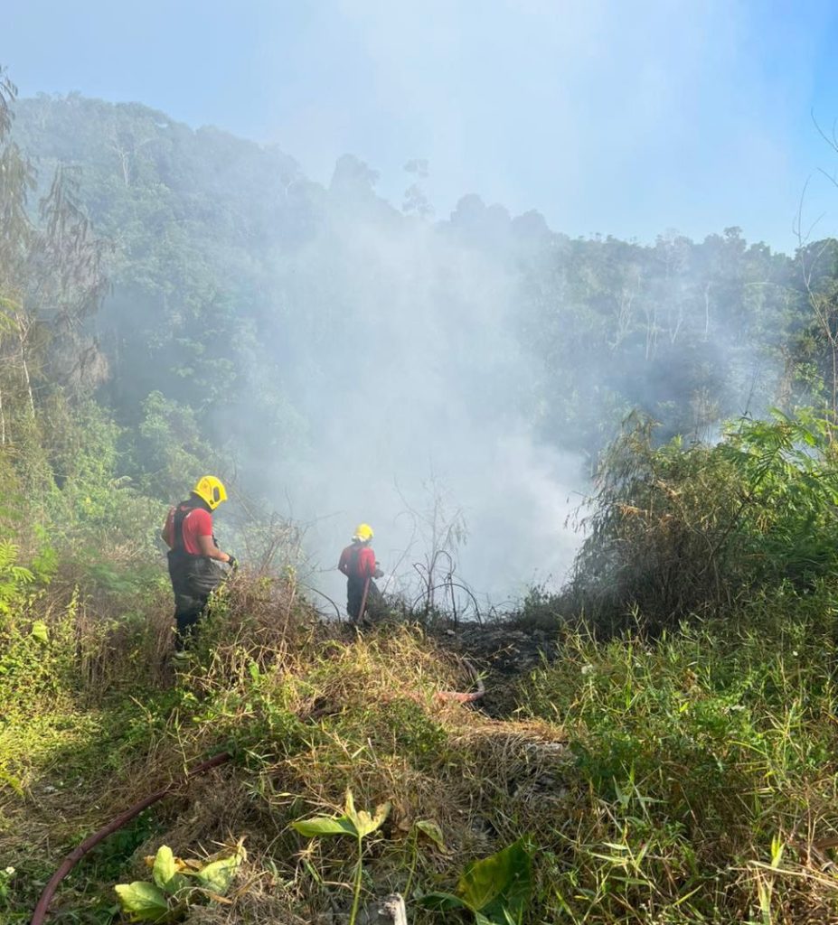 Em 10 dias, Corpo de Bombeiros atendeu 53 ocorrências de incêndio em vegetação urbana e lixeiras clandestinas em Manaus Portal o Judiciário CBMAM INCENDIO FOTOS ARQUIVO 1 927x1024 1