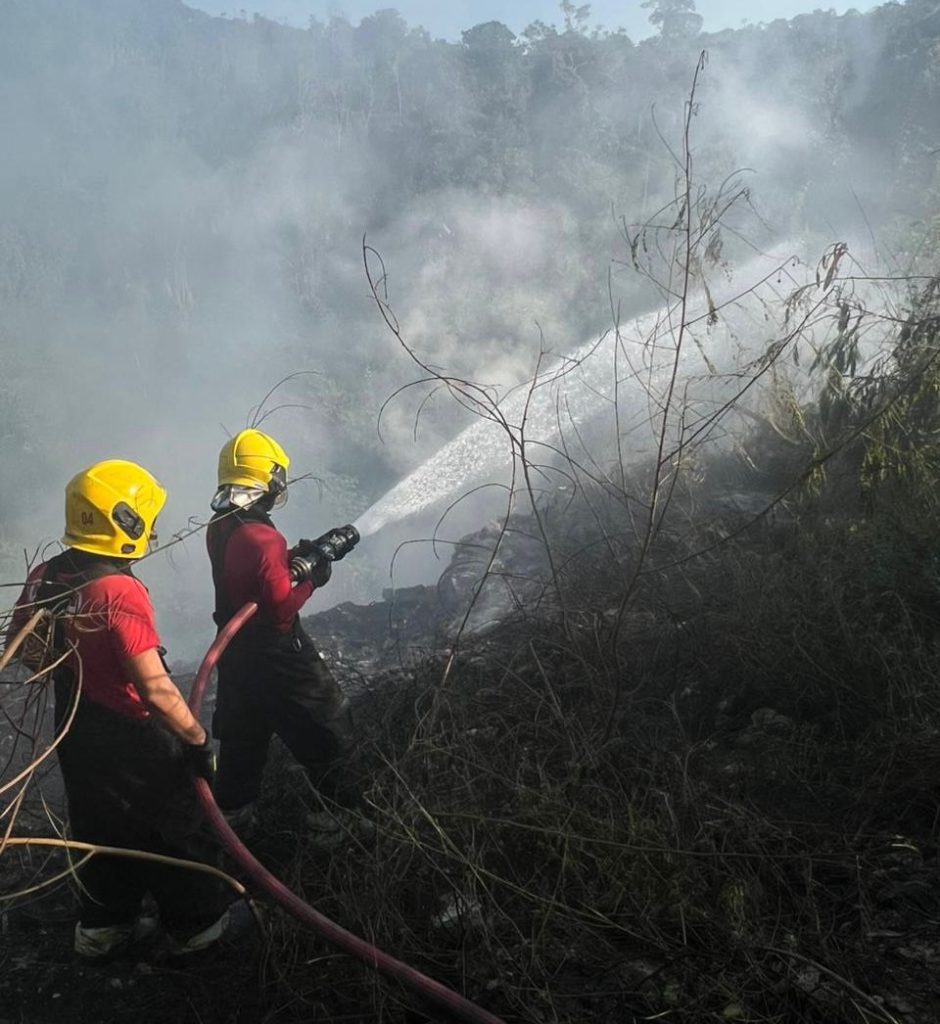 Em 10 dias, Corpo de Bombeiros atendeu 53 ocorrências de incêndio em vegetação urbana e lixeiras clandestinas em Manaus Portal o Judiciário CBMAM INCENDIO FOTOS ARQUIVO 2 940x1024 1