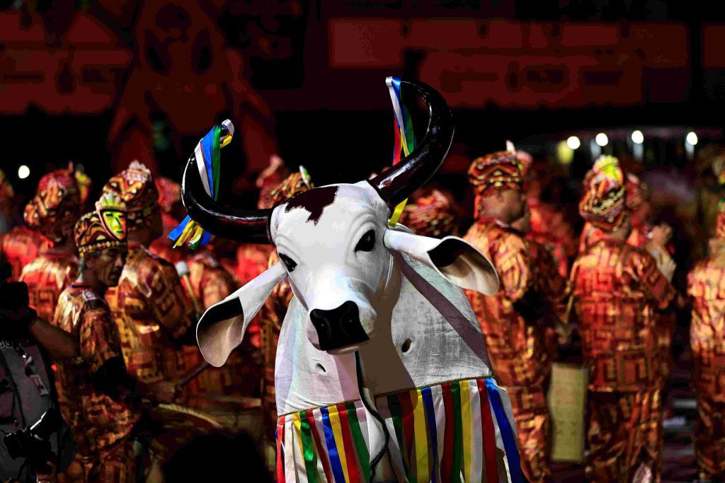 Bois-bumbás de Manaus encerram a programação do Festival Folclórico do Amazonas no Sambódromo Portal o Judiciário Cultura Boi Corre Campo foto Arquivo Secretaria de Estado de Cultura e Economia Criativa 1024x683 1