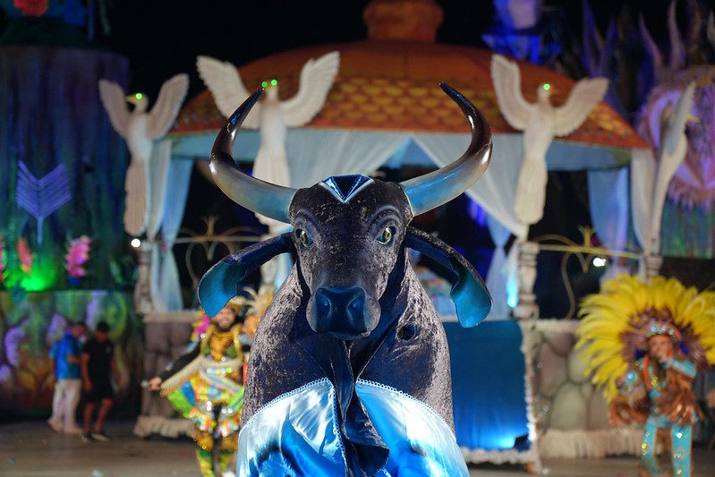 Batalha dos bois-bumbás marca a última noite do 67º Festival Folclórico do Amazonas Portal o Judiciário Cultura FFAM boi bumba Brilhante foto Aguilar Abecassis Secretaria de Estado de Cultura e Economia Criativa 2