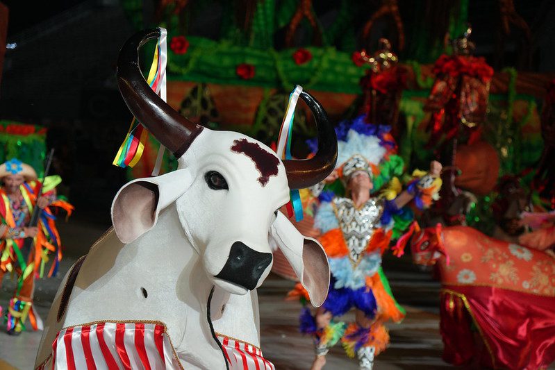 Batalha dos bois-bumbás marca a última noite do 67º Festival Folclórico do Amazonas Portal o Judiciário Cultura FFAM boi bumba Corrre Campo foto Aguilar Abecassis Secretaria de Estado de Cultura e Economia Criativa 11