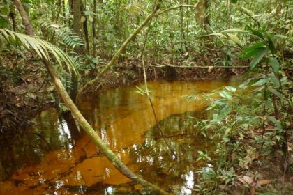 FAPEAM Origens dos fluxos de agua e as possiveis alteracoes da qualidade relacionadas a urbanizacao FOTO SAVIO FERREIRA 2 1024x768 1