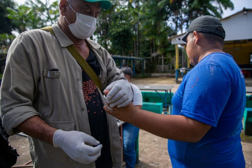 Semsa Manaus Malaria1