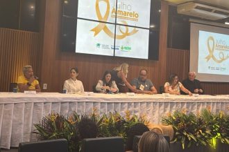 Semsa Manaus Oficina hepatites virais 3