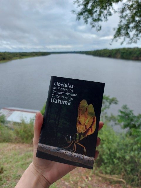 Com apoio do Governo do Amazonas, pesquisa identifica mais de 11,3 mil insetos aquáticos na RDS do Uatumã Portal o Judiciário Fapeam Pesquisa insetos aquaticos na RDS do Uatuma Foto pesquisadores do INPA 6 rotated 1