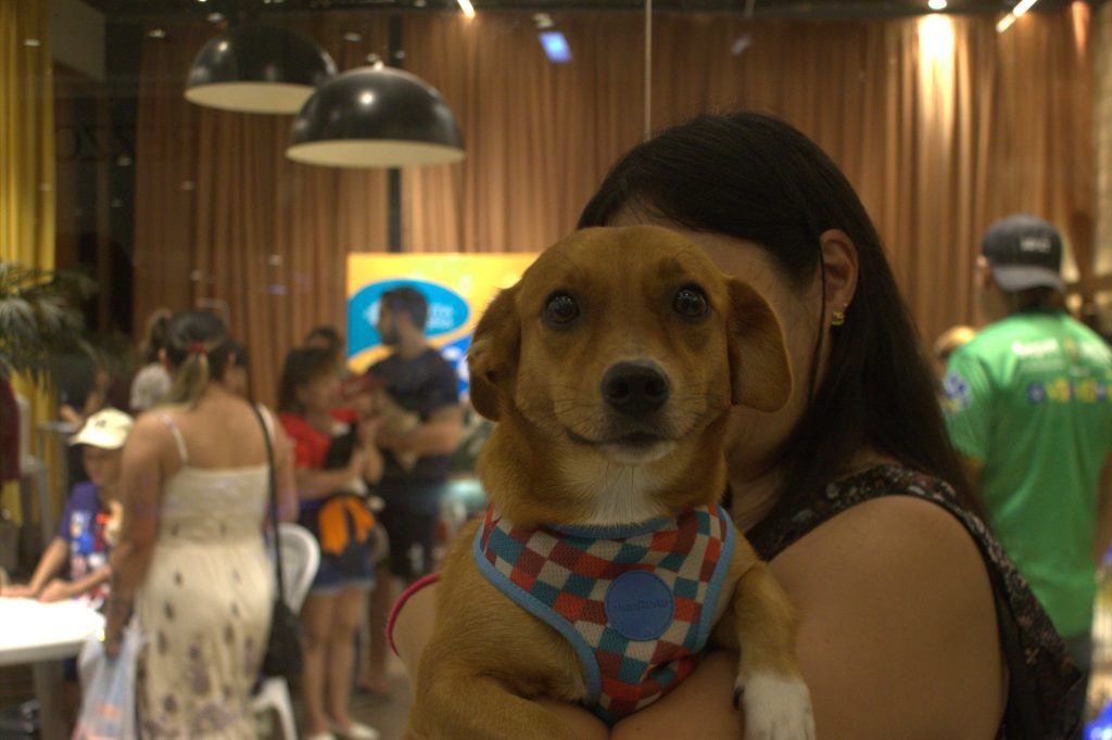 Sepet_Divulgacao-2-4-1024x682-1