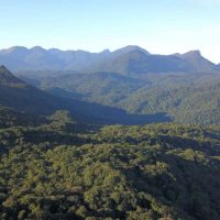Comissão debate papel da Mata Atlântica na adaptação às mudanças climáticas