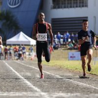 Comissão aprova projetos de criação de datas comemorativas e de homenagens