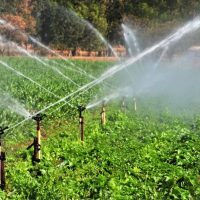 Congresso analisa crédito de R$ 33,6 milhões para projetos de irrigação