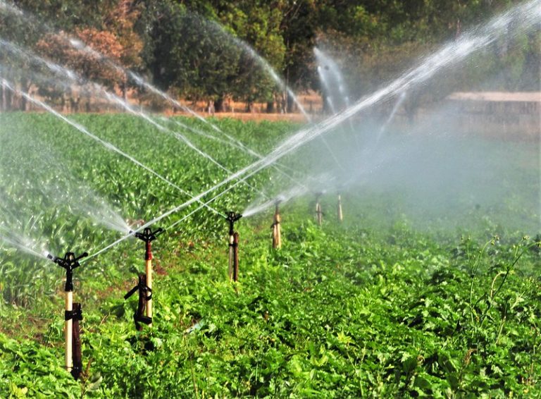 Congresso analisa crédito de R$ 33,6 milhões para projetos de irrigação