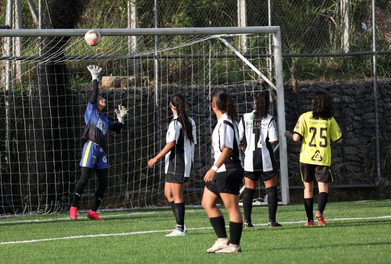 Projeto busca assegurar recursos para a Copa do Mundo feminina de 2027