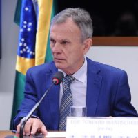 Comissão aprova financiamento de casas de madeira no Minha Casa, Minha Vida
