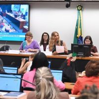 Comissão debate maternidades e responsabilidade coletiva