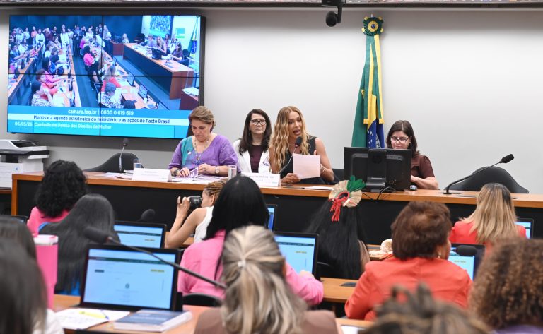 Comissão debate maternidades e responsabilidade coletiva