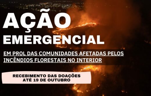 TJAM recebe doações em quatro unidades para apoiar atingidos por incêndios no Amazonas
