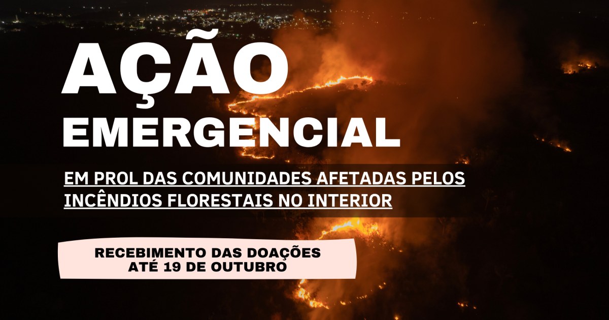 TJAM recebe doações em quatro unidades para apoiar atingidos por incêndios no Amazonas