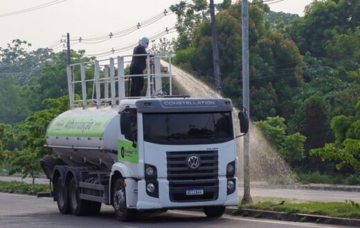 Semmas associa técnicas de manutenção ao plantio de mais de 33 mil mudas em 2025 e 45 mil em 2026