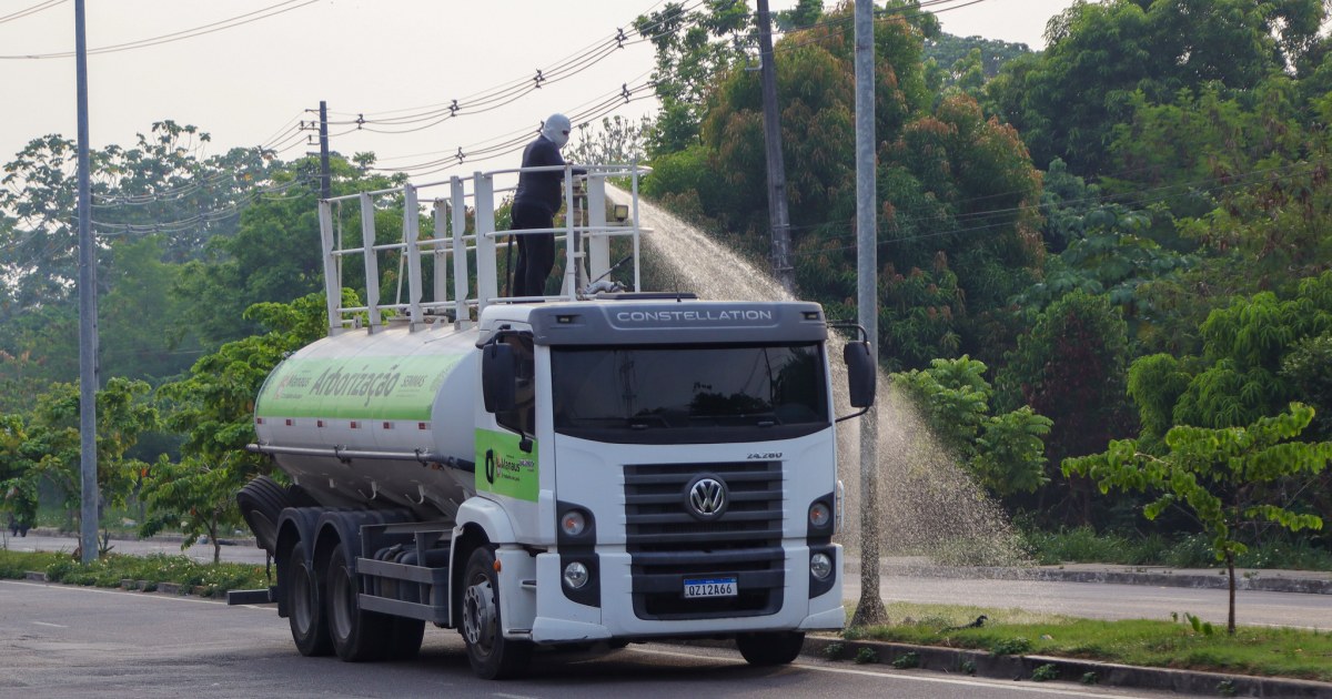 Semmas associa técnicas de manutenção ao plantio de mais de 33 mil mudas em 2025 e 45 mil em 2026